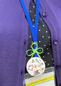 シトラスリボン画像 (2).JPG